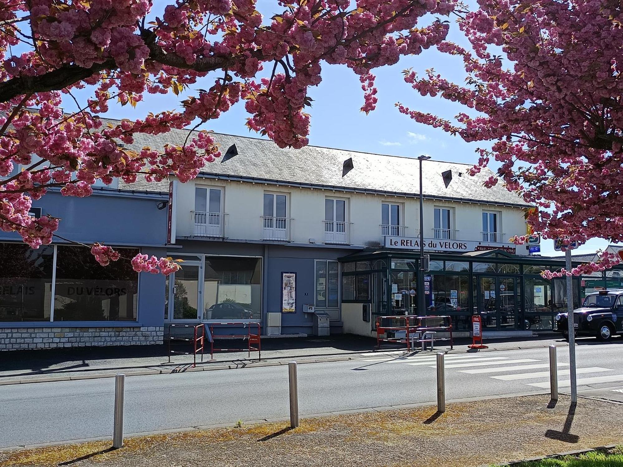 Le Relais Du Velors Hotel Beaumont-en-Véron Eksteriør billede